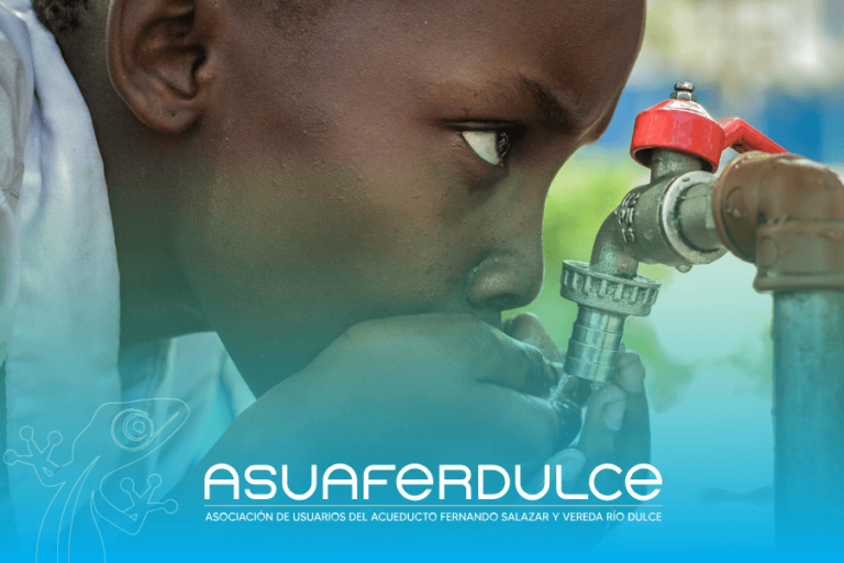 Cómo Conservar el Agua en el Hogar: Consejos Efectivos - ASUAFERDULCE